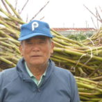 さとうきび農家