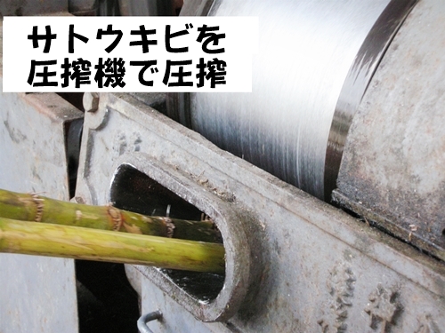 サトウキビ圧搾