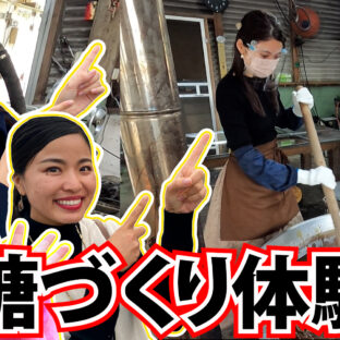 ミス沖縄の３人が黒糖作り体験