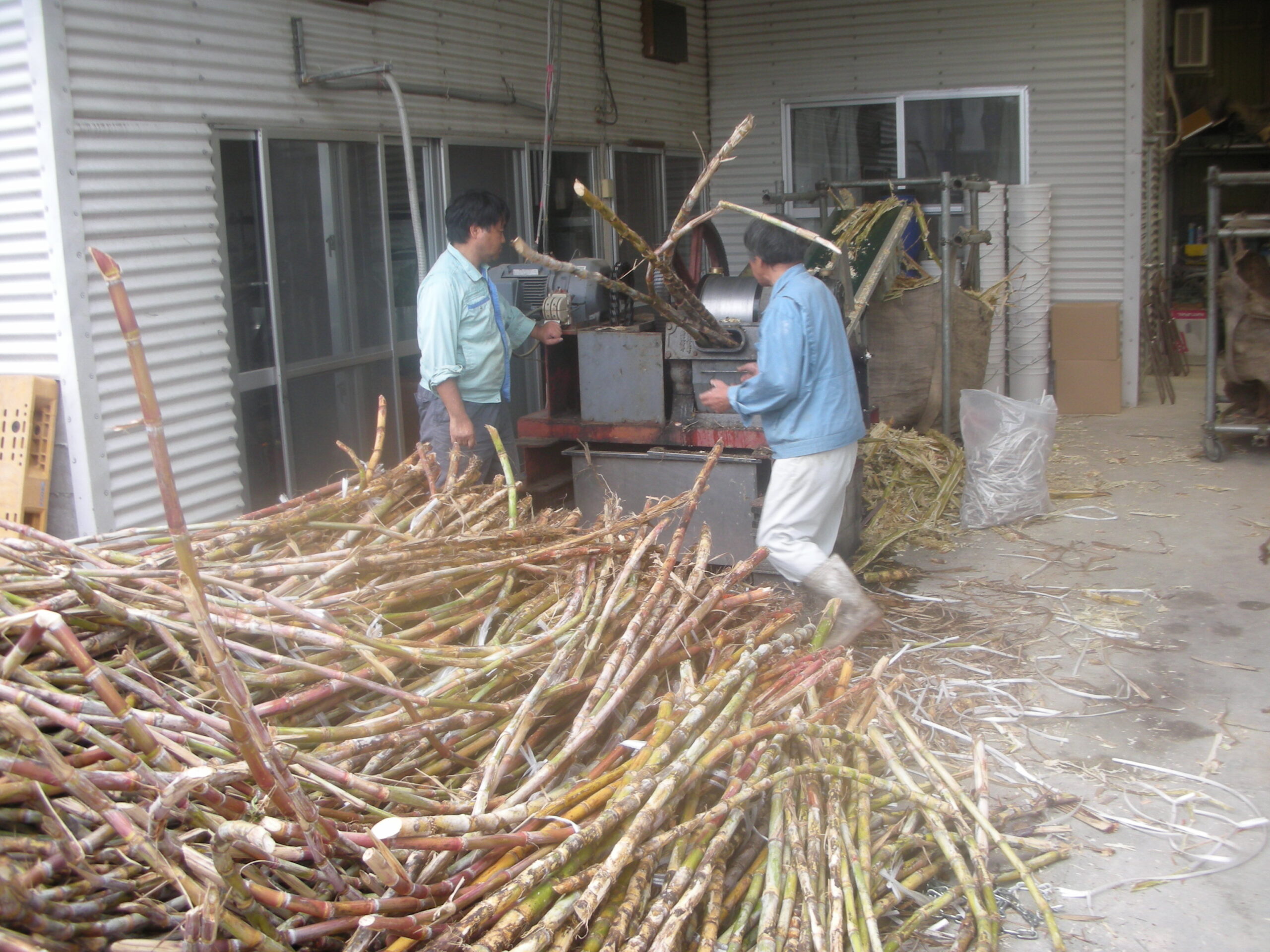 サトウキビ圧搾